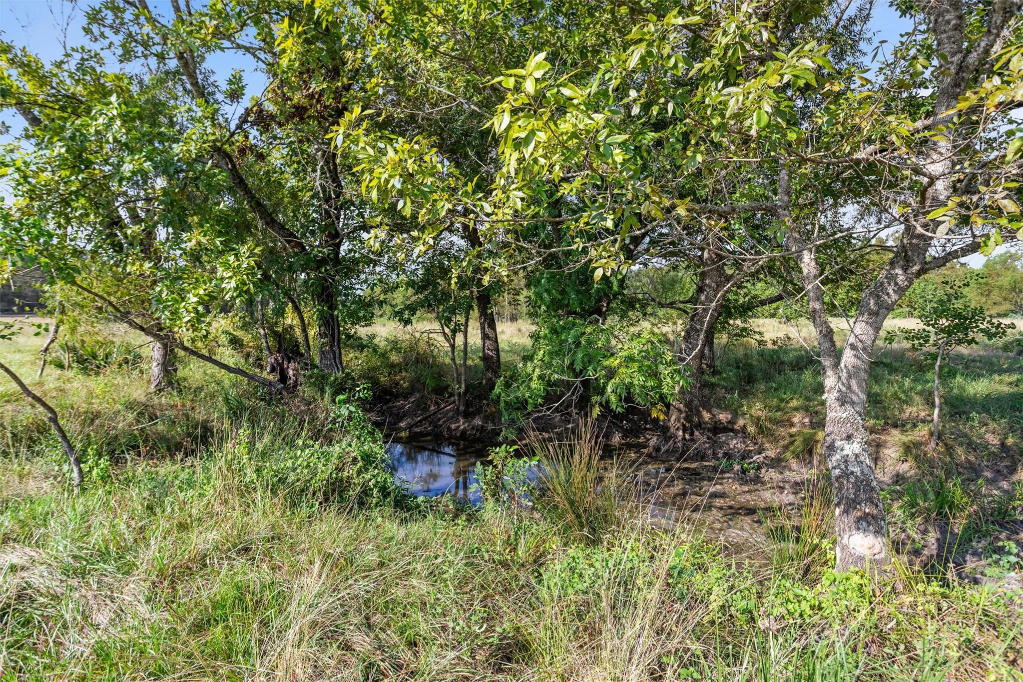 22.4 Acres Bailey Grove Road