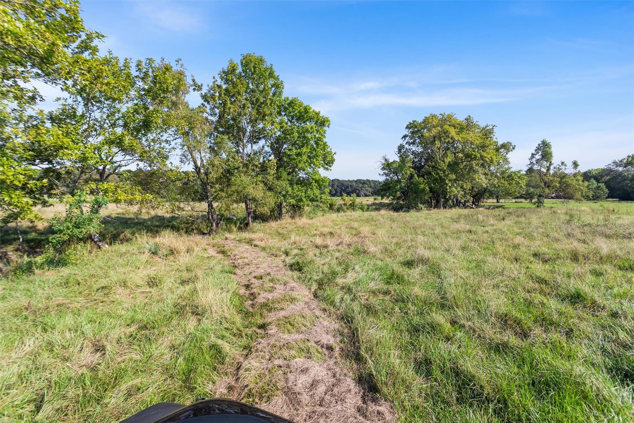 22.4 Acres Bailey Grove Road
