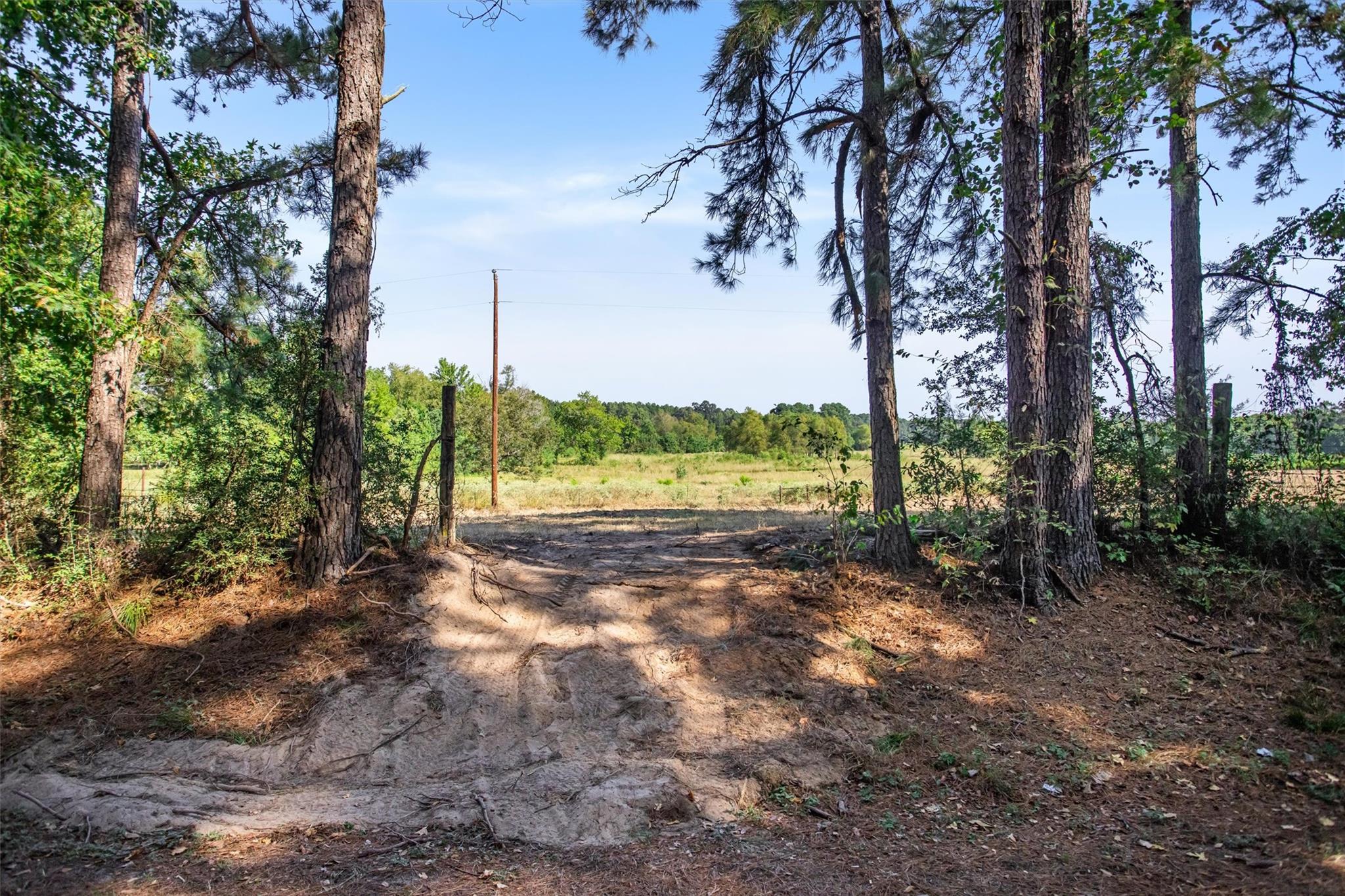22.4 Acres Bailey Grove Road