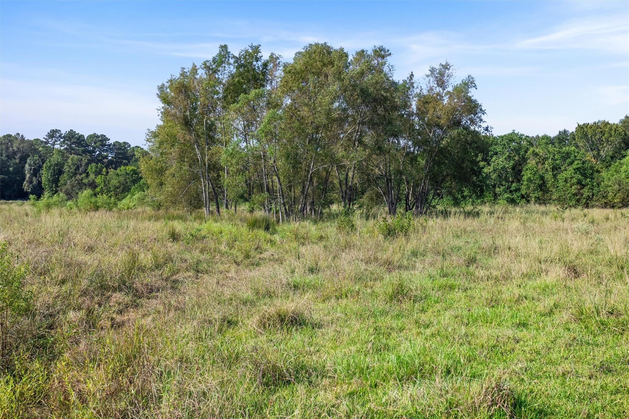 22.4 Acres Bailey Grove Road