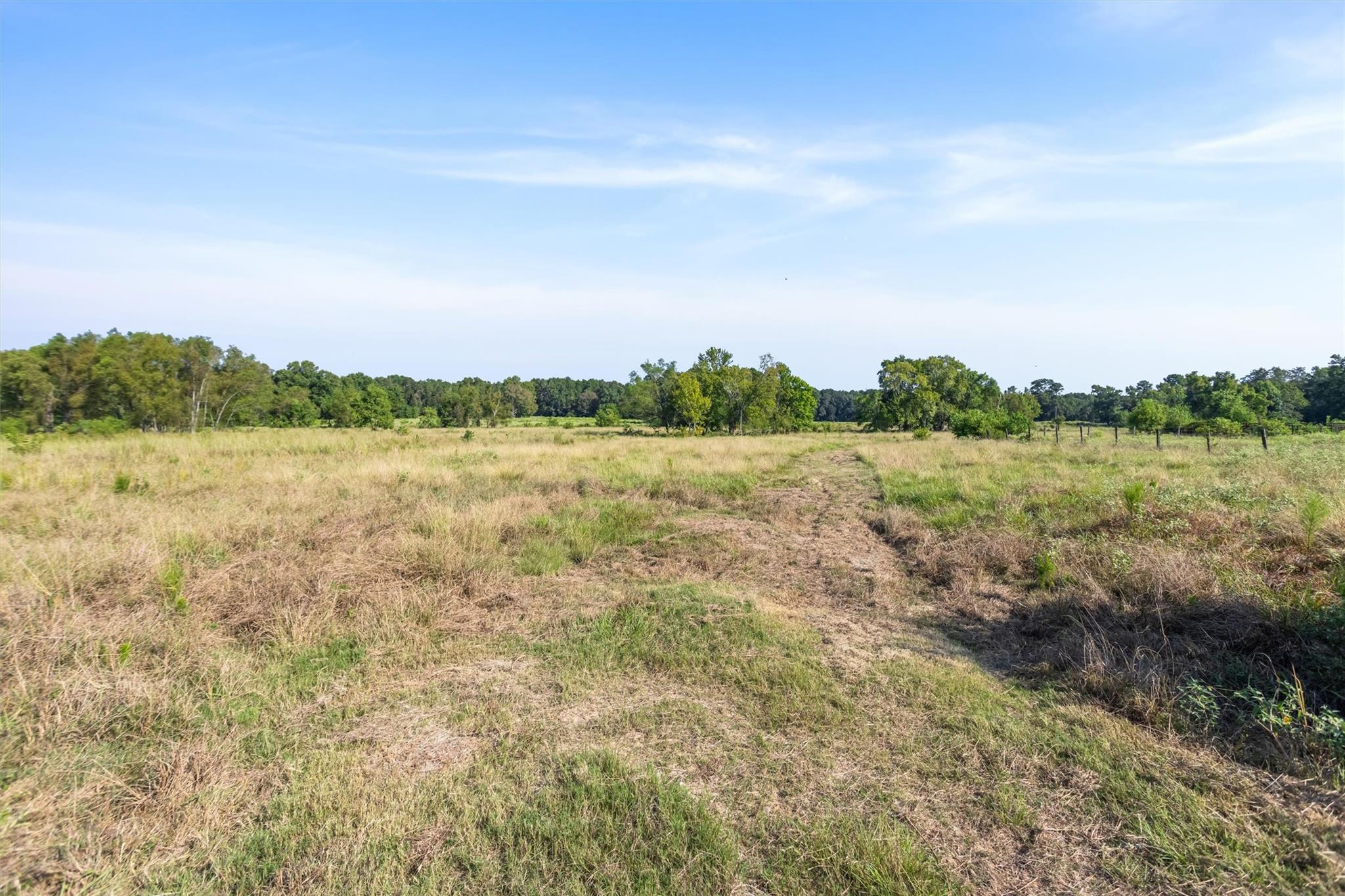 22.4 Acres Bailey Grove Road