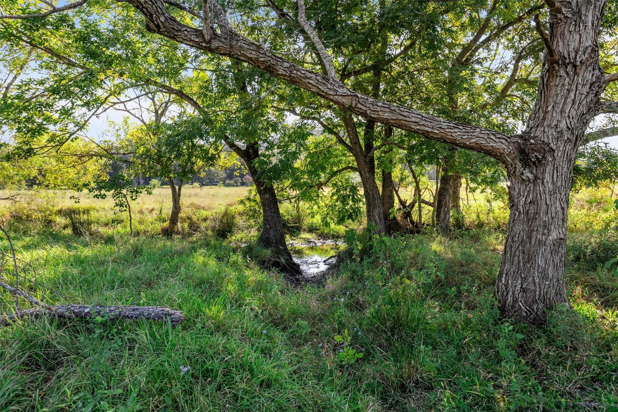 22.4 Acres Bailey Grove Road