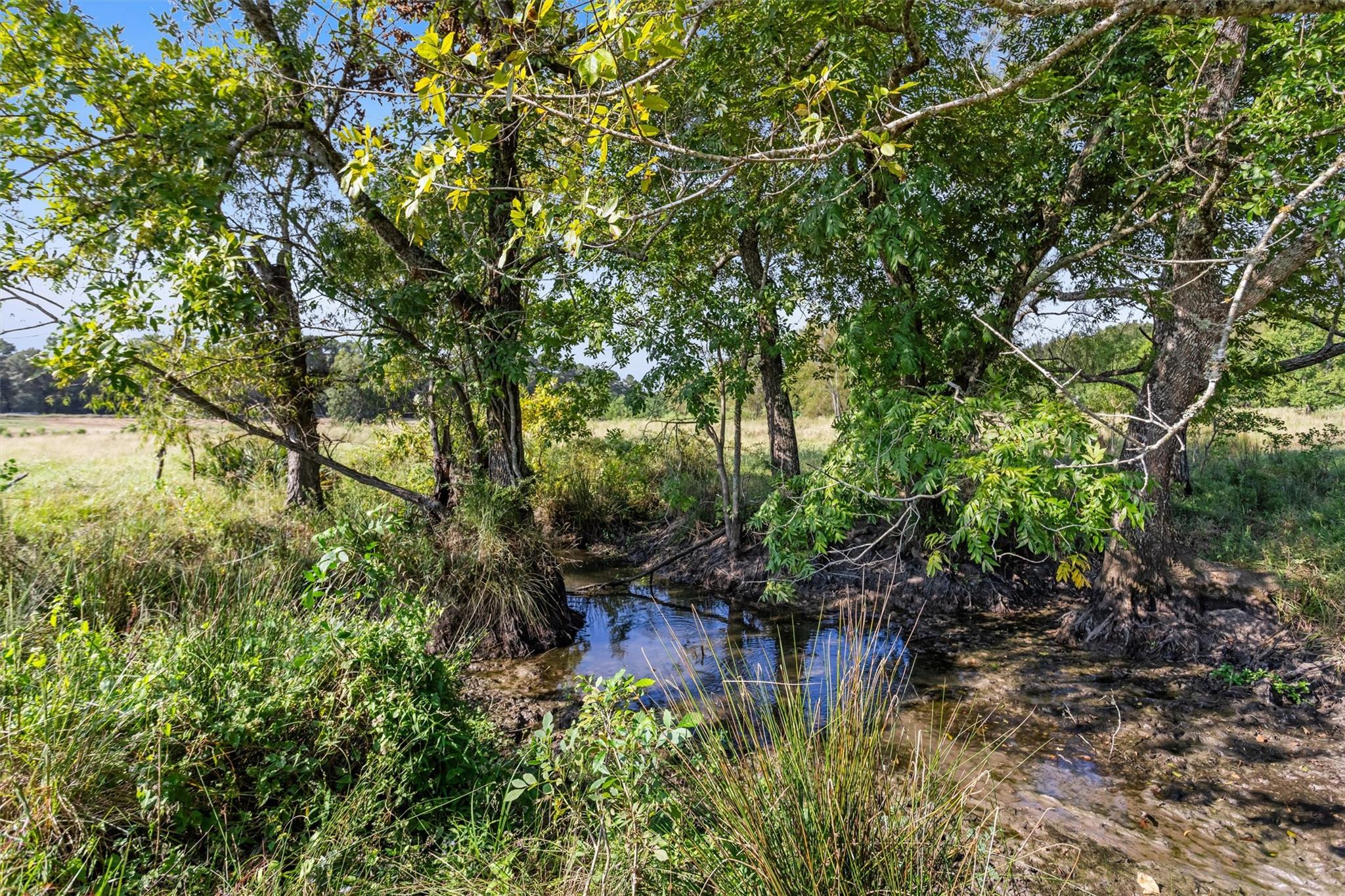 22.4 Acres Bailey Grove Road