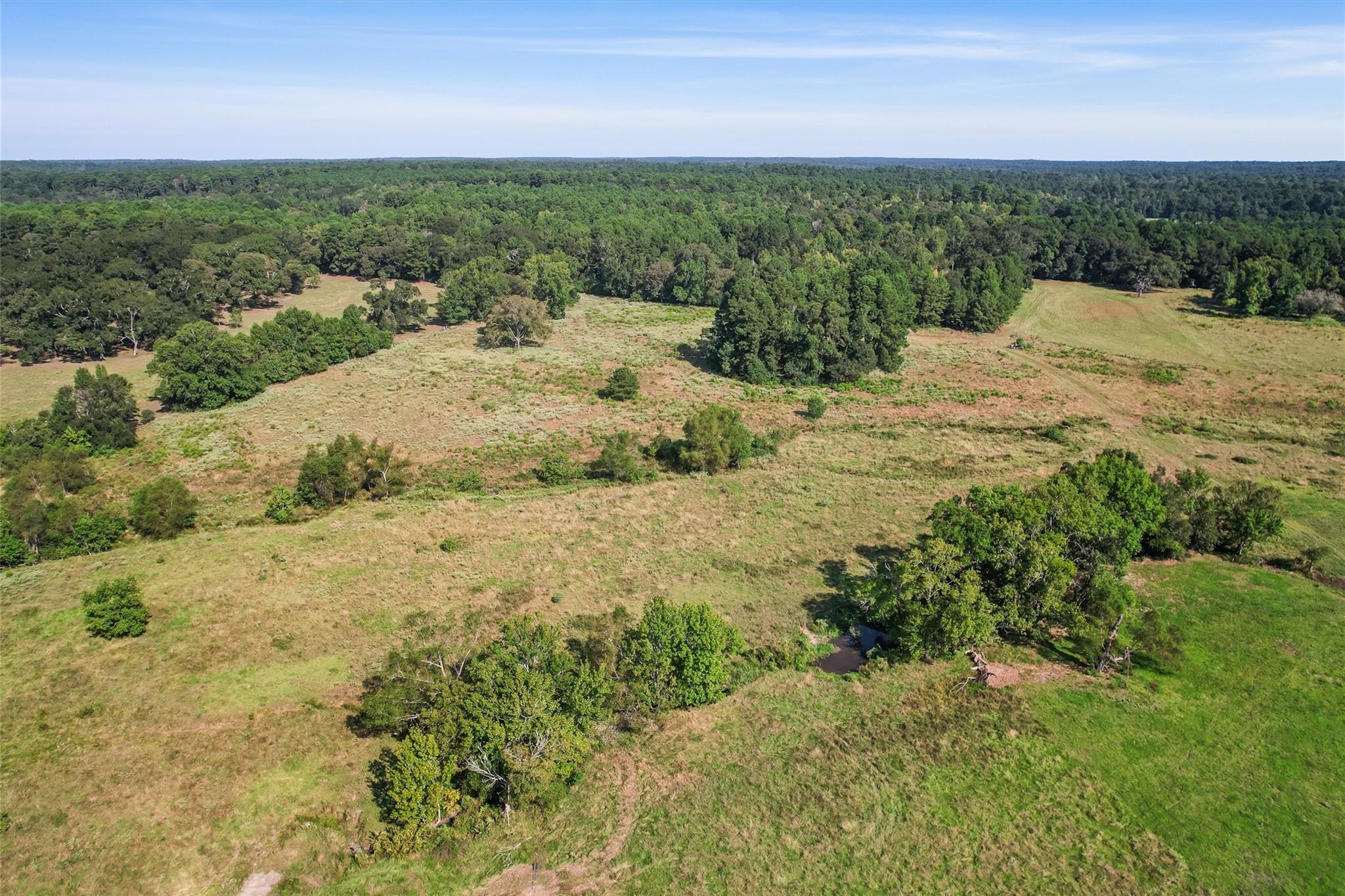 22.4 Acres Bailey Grove Road