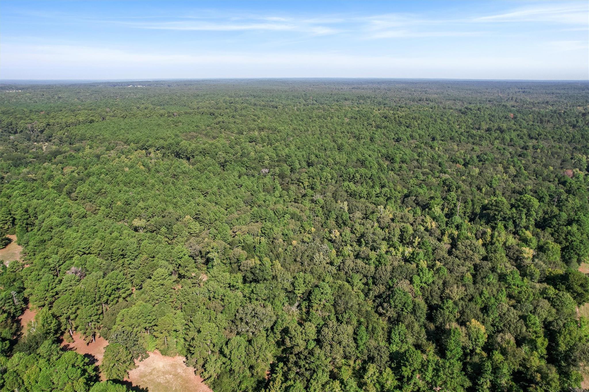 22.4 Acres Bailey Grove Road