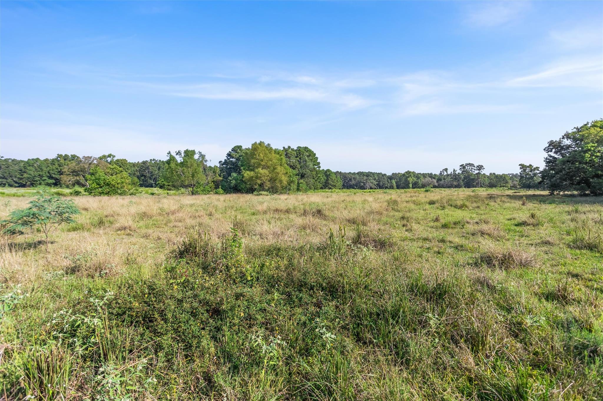 22.4 Acres Bailey Grove Road