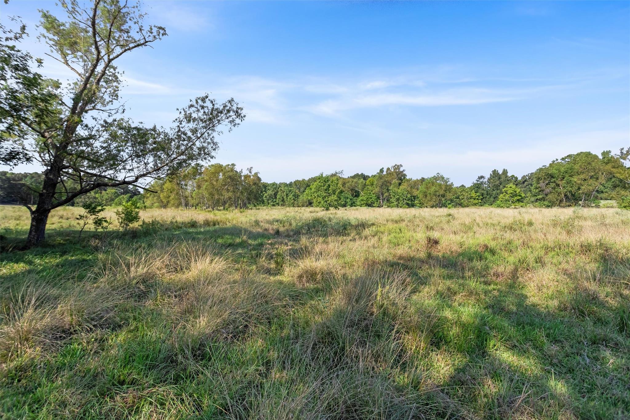 22.4 Acres Bailey Grove Road