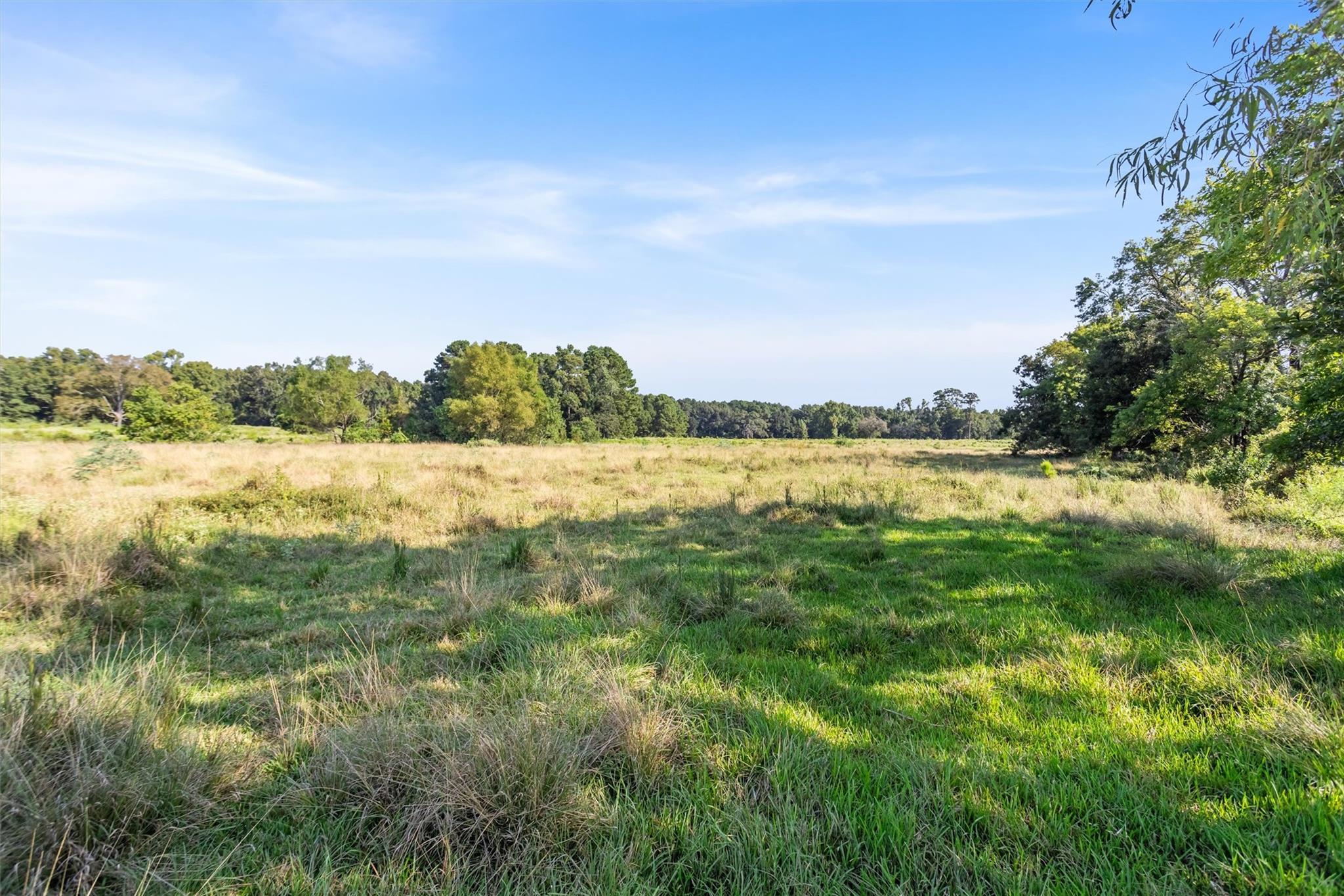 22.4 Acres Bailey Grove Road