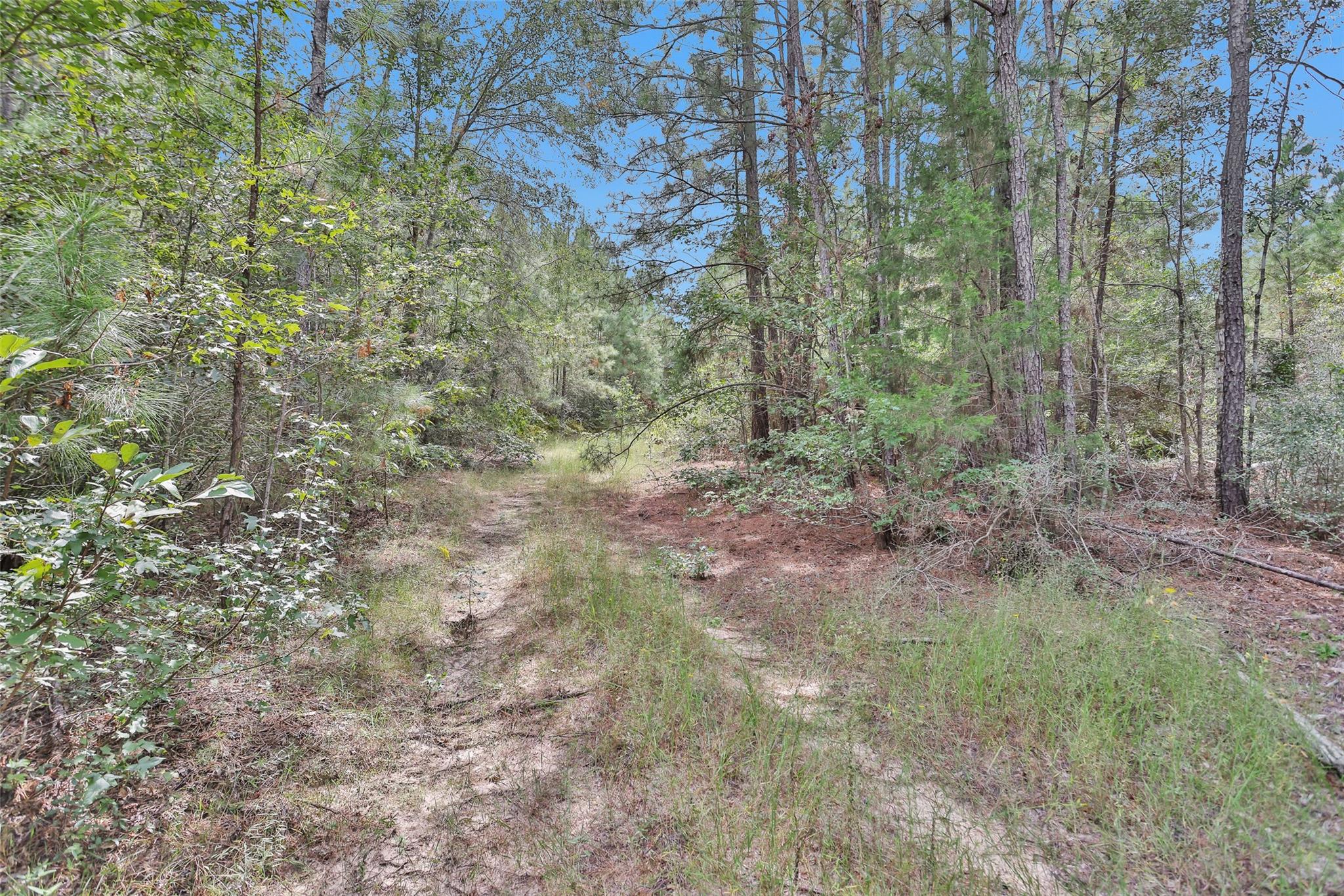 11976 Highbranch Way
