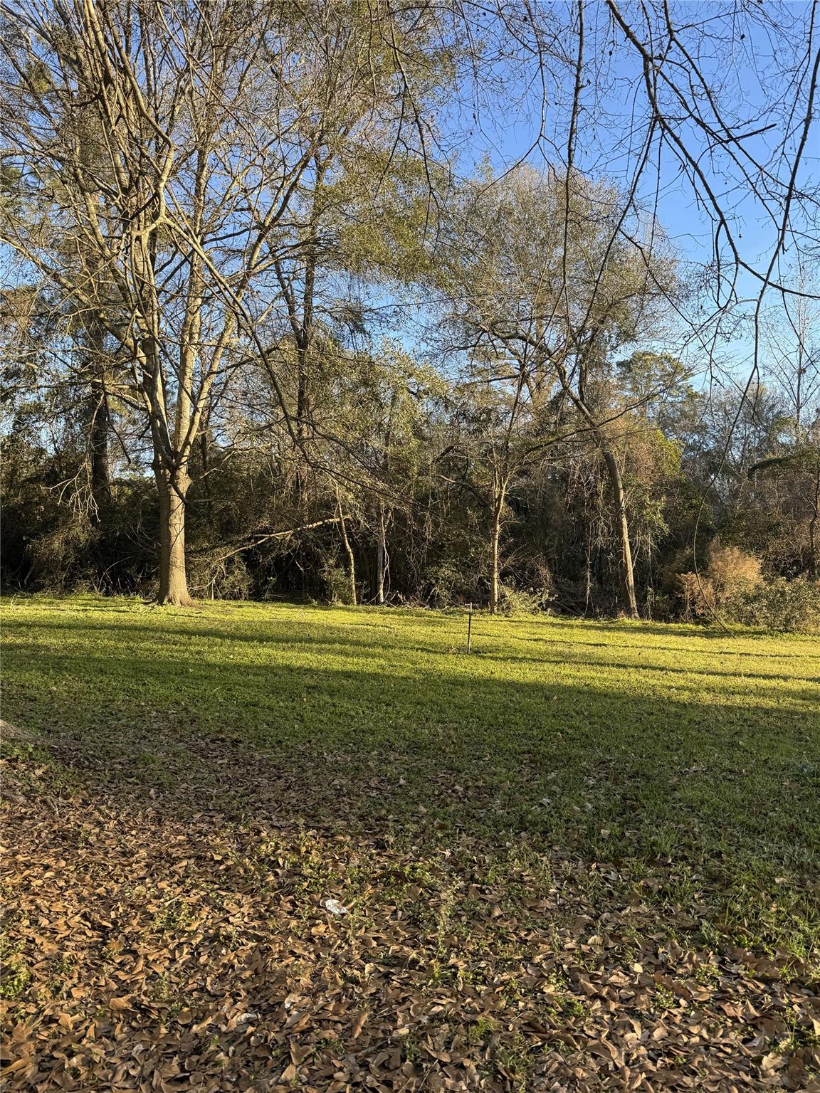 705 Smokey River Bend
