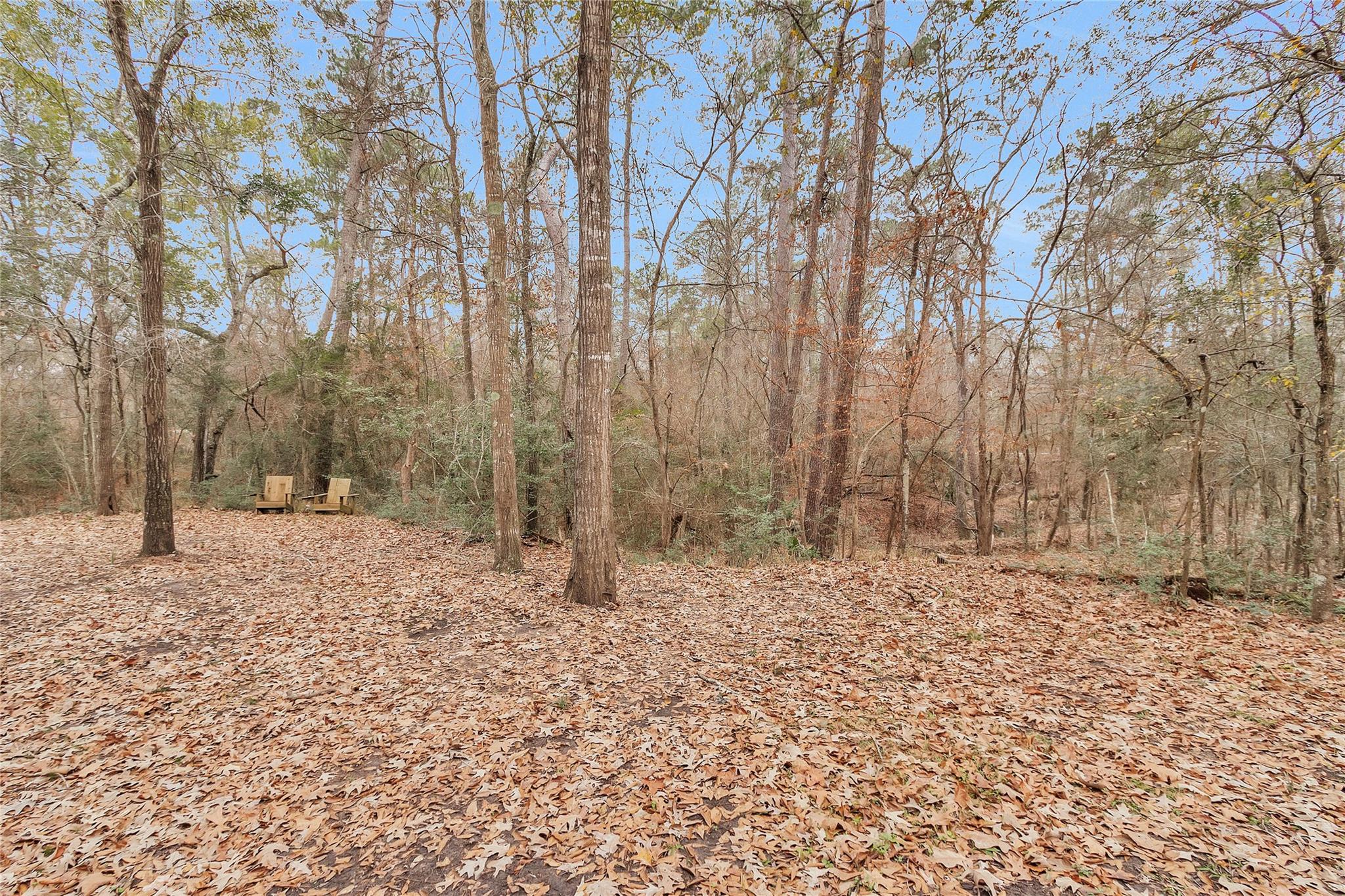 7261 Forest Hills Drive