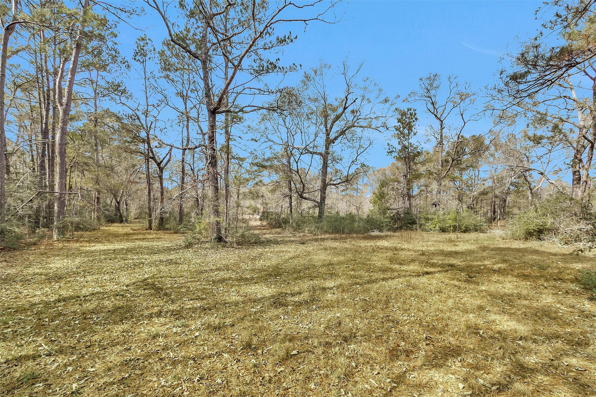 10067 White Rock Road