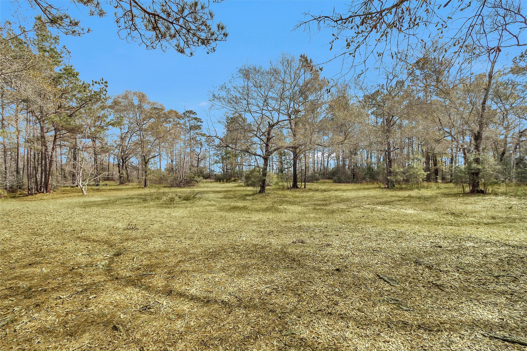 10067 White Rock Road