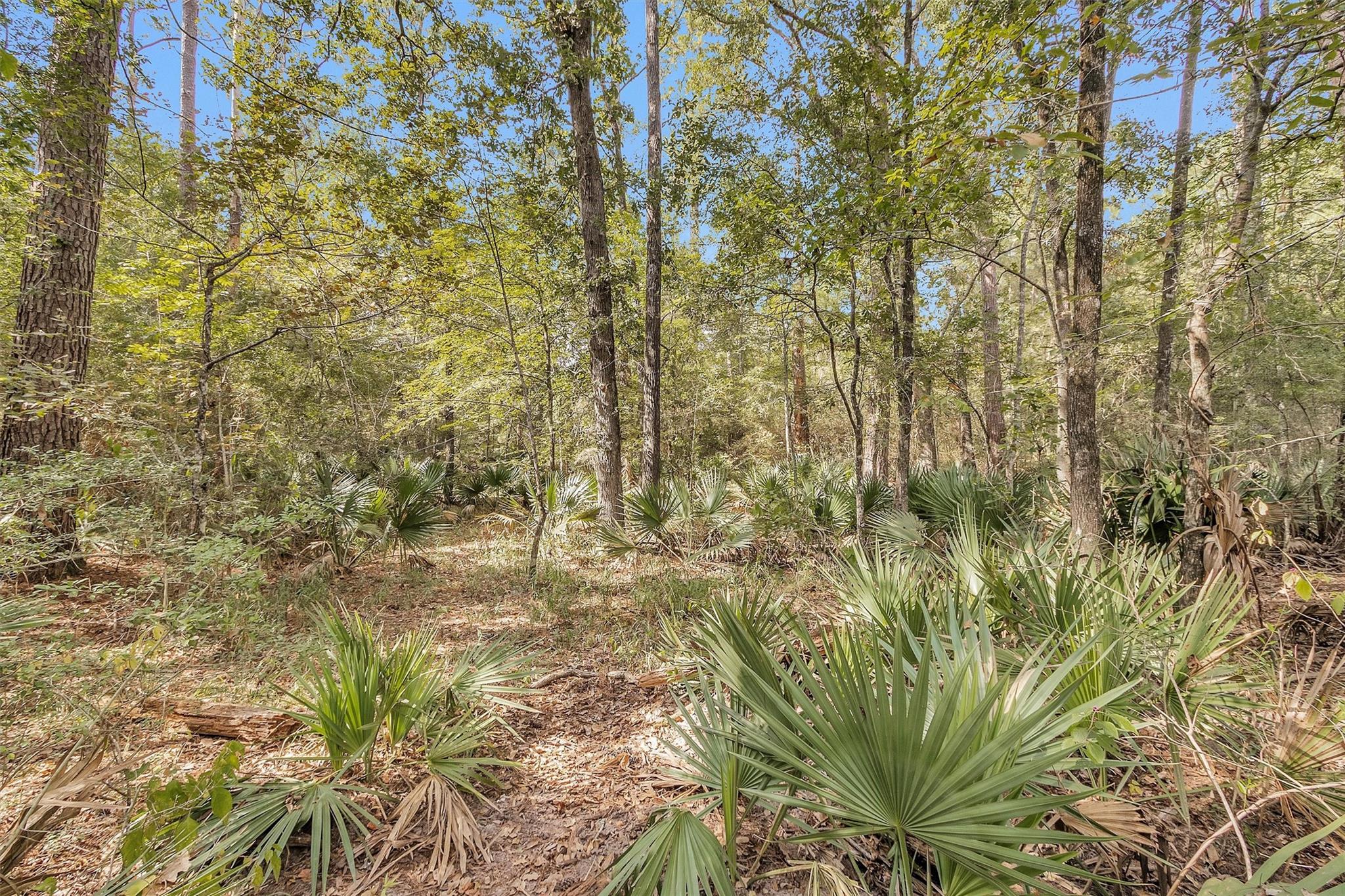 50 Firewood Road