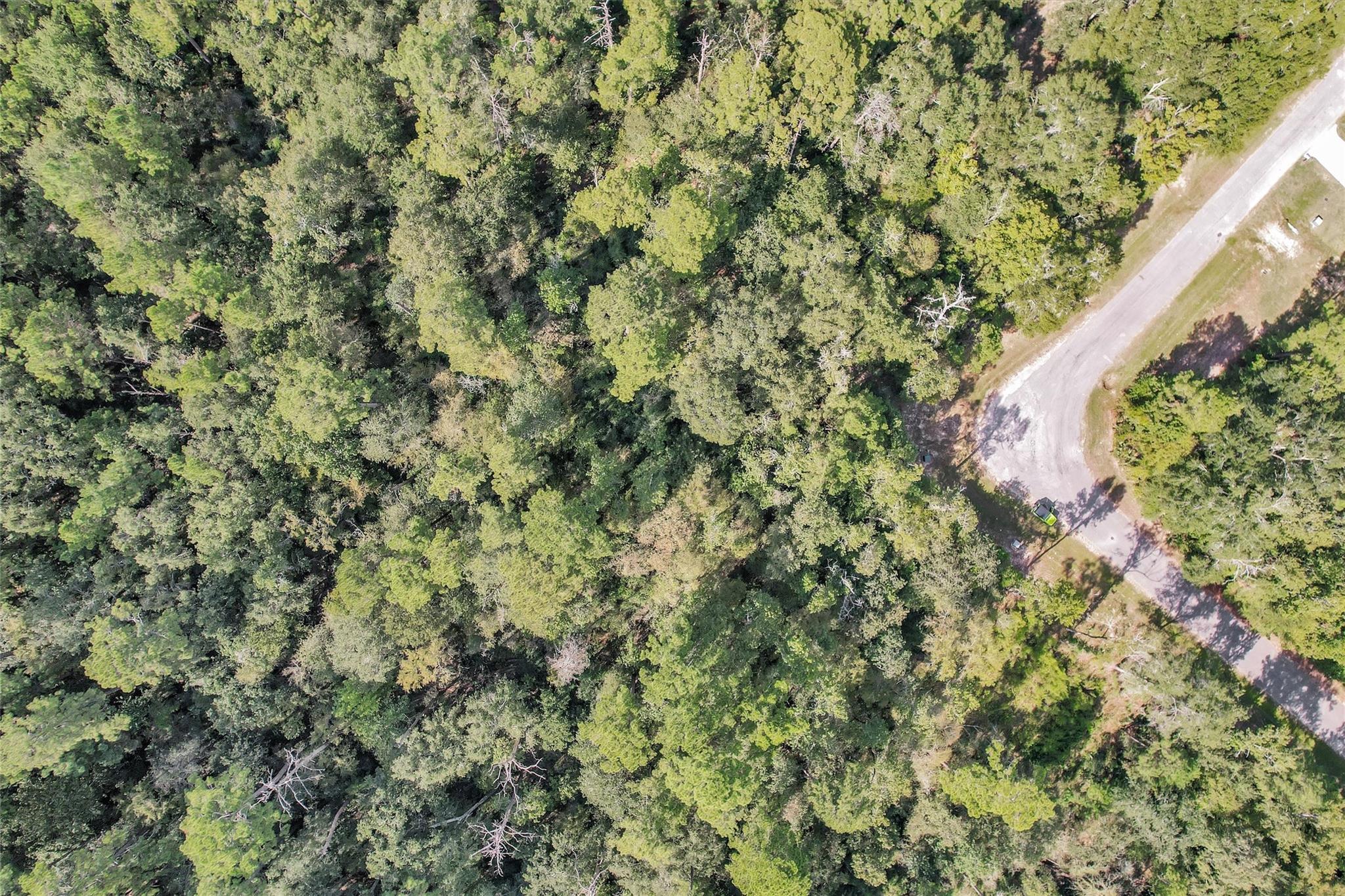 50 Firewood Road