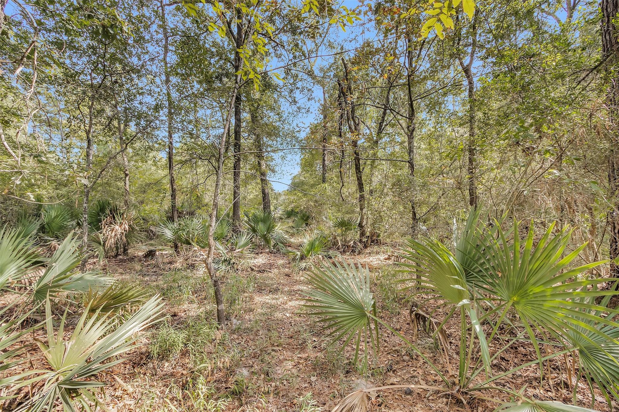 50 Firewood Road
