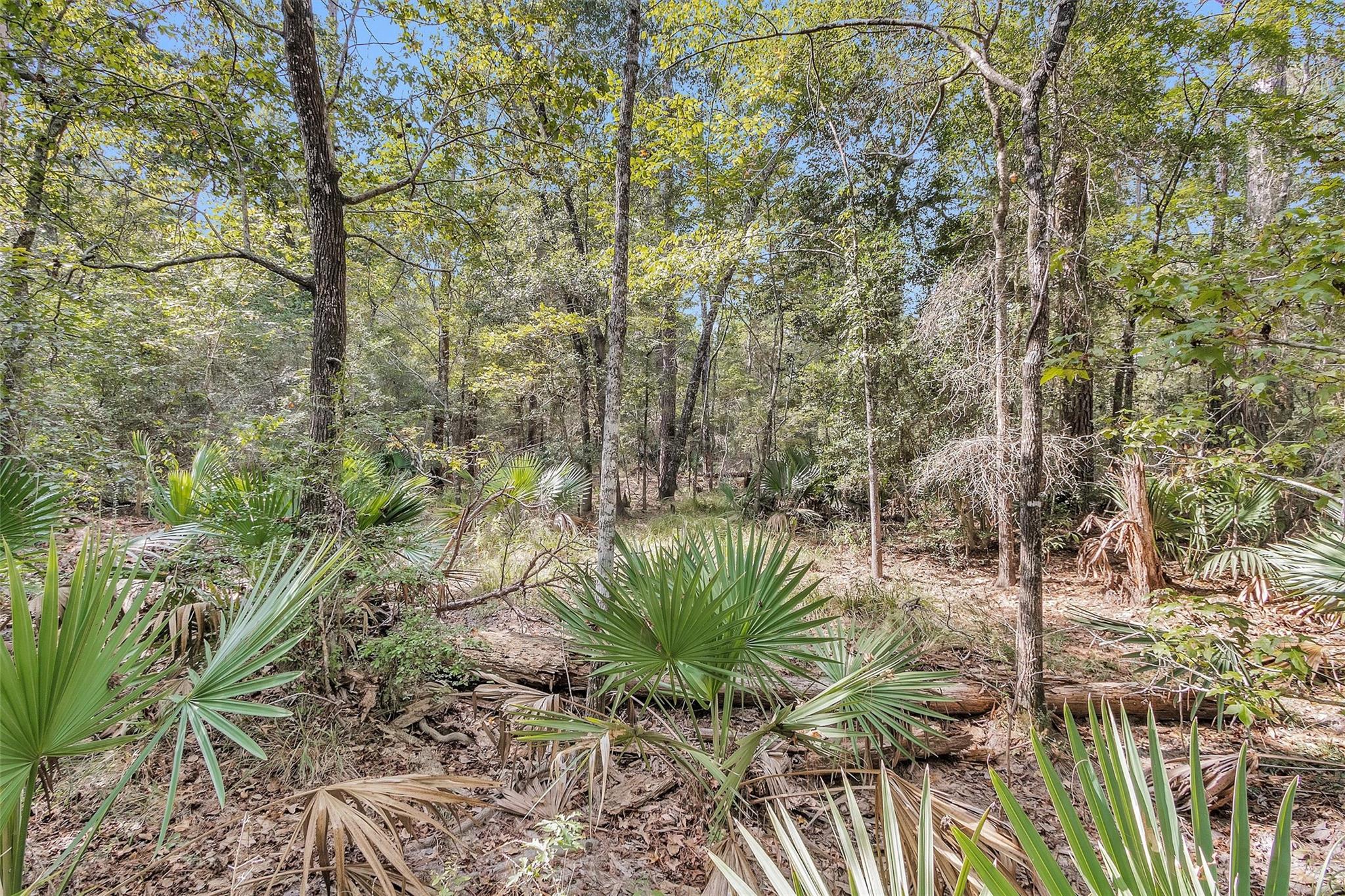 50 Firewood Road