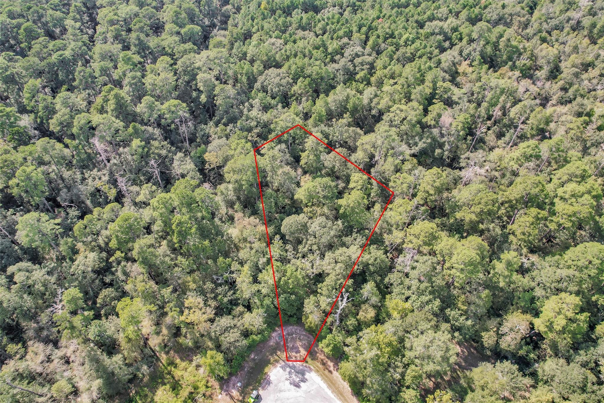 50 Firewood Road