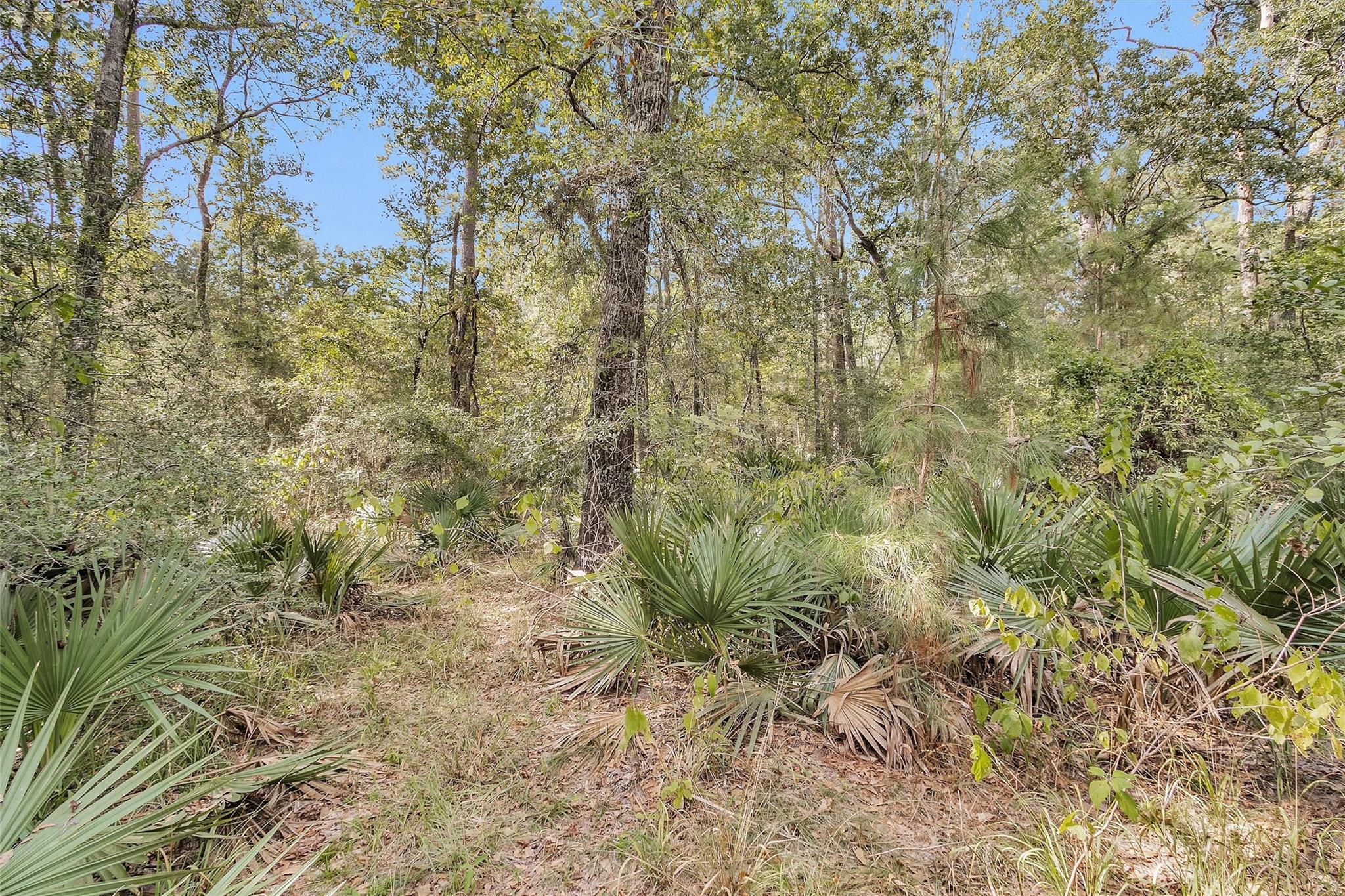 50 Firewood Road
