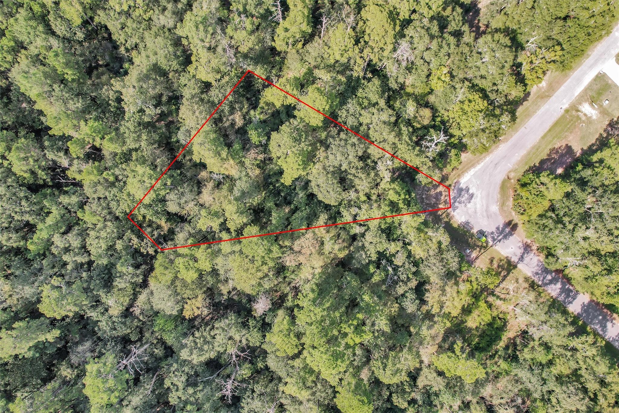 50 Firewood Road