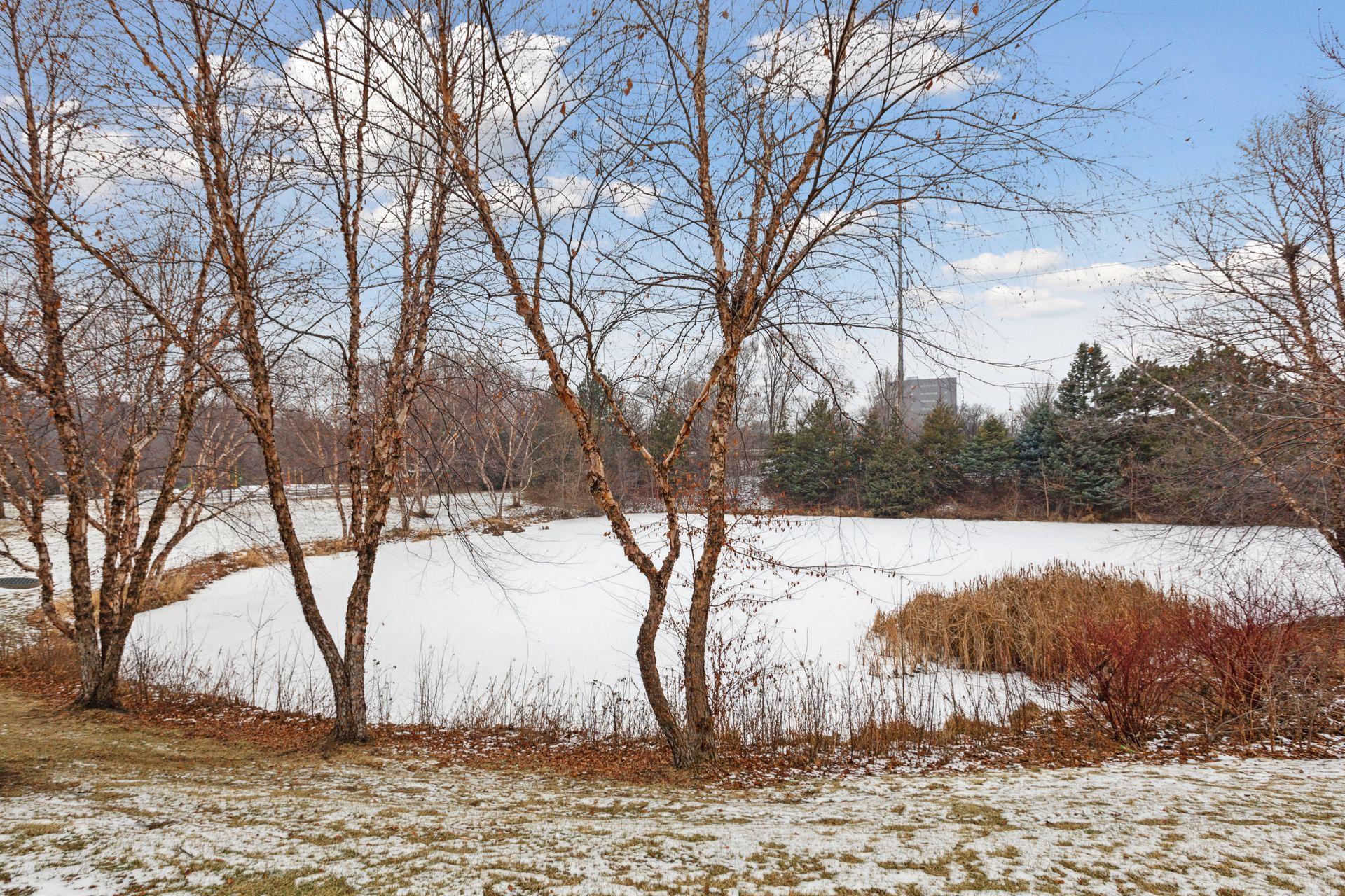 1550 Zarthan Avenue S Unit: 508
