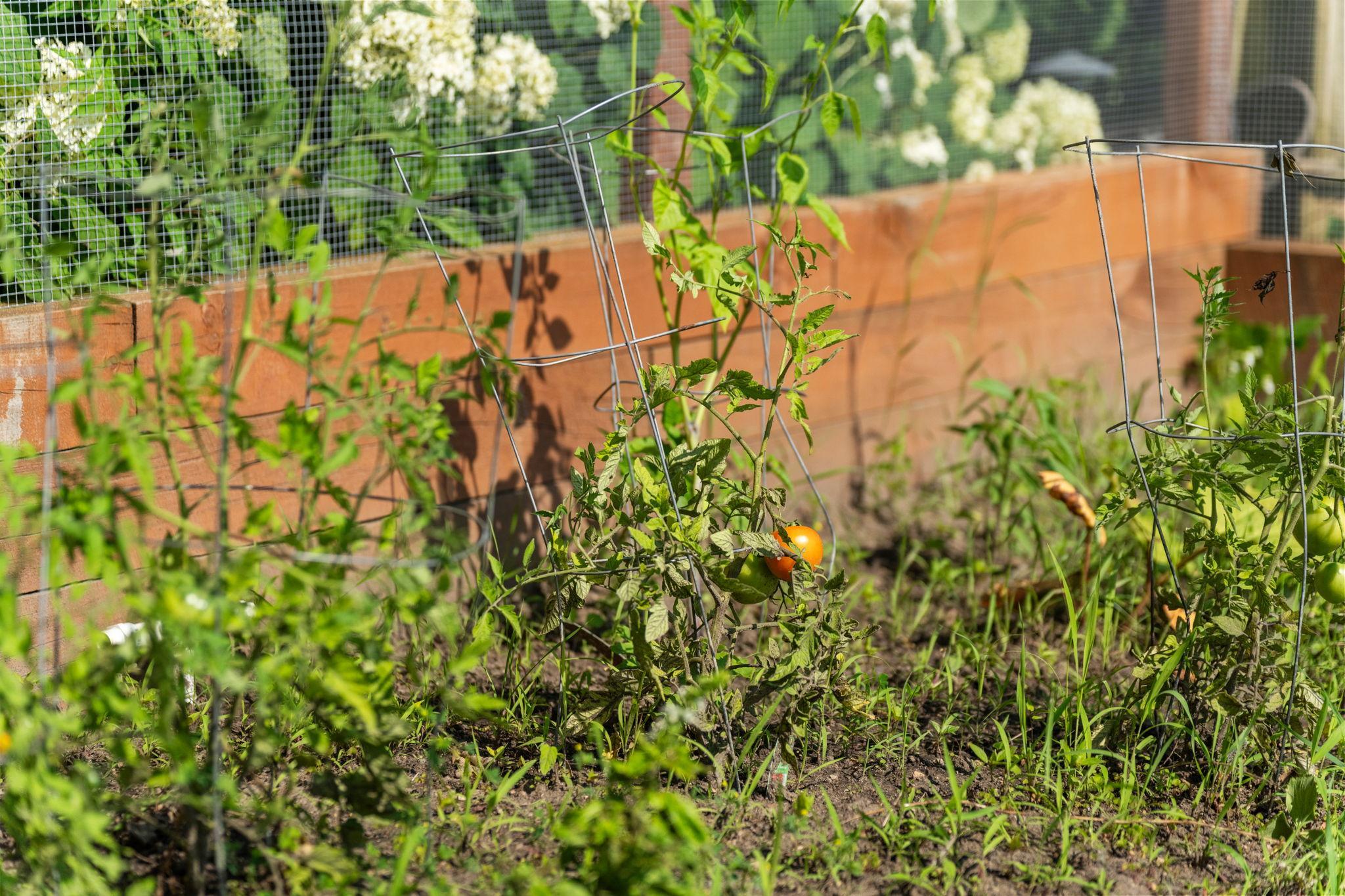 3020 Highland Boulevard