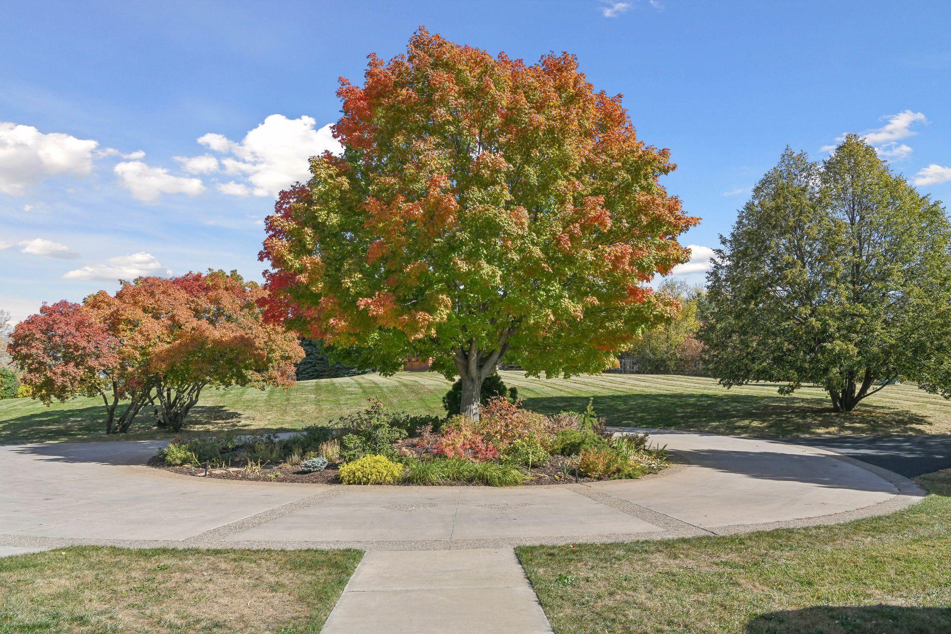4550 and 4570 Wolverton Place
