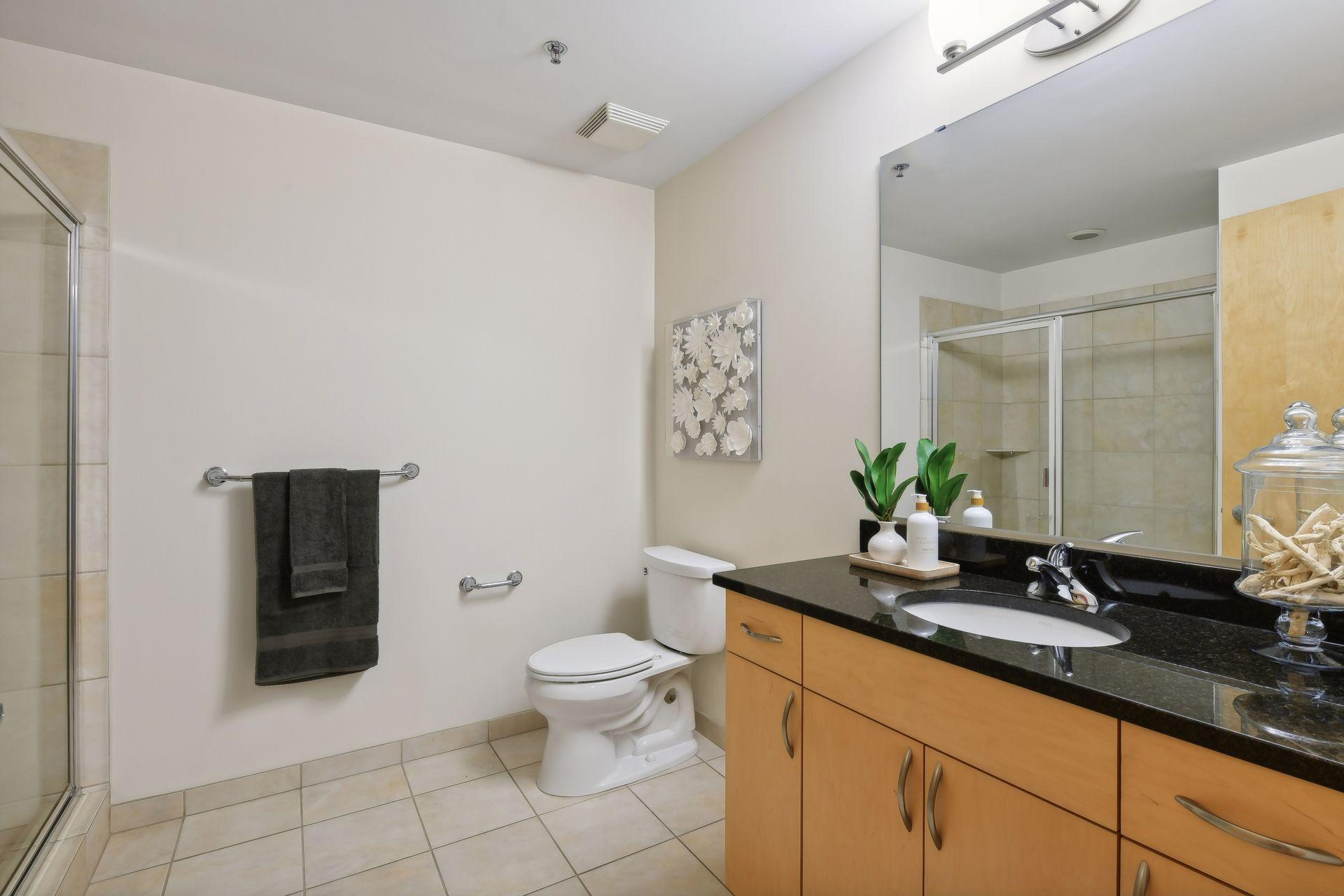 215 10th Avenue S Unit: 310