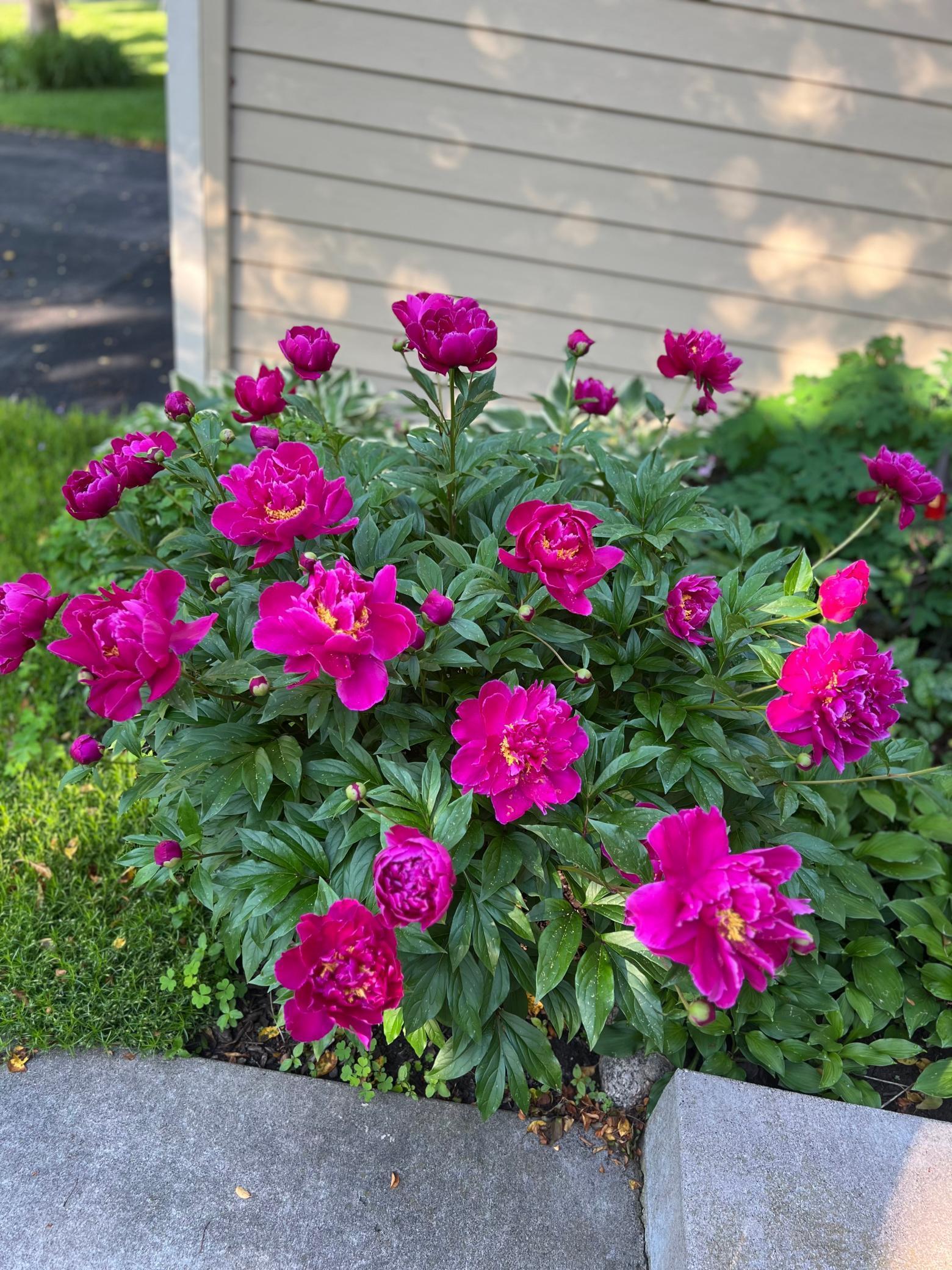 18904 Yarborough Trace