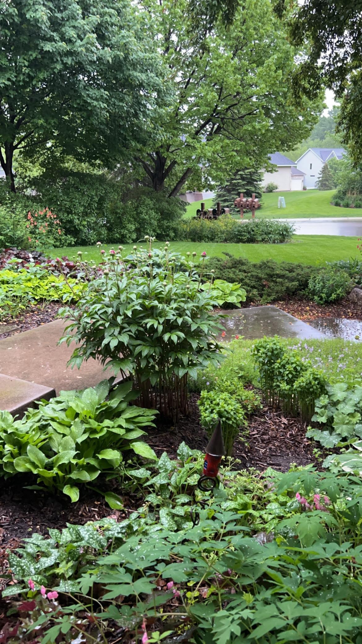 18904 Yarborough Trace