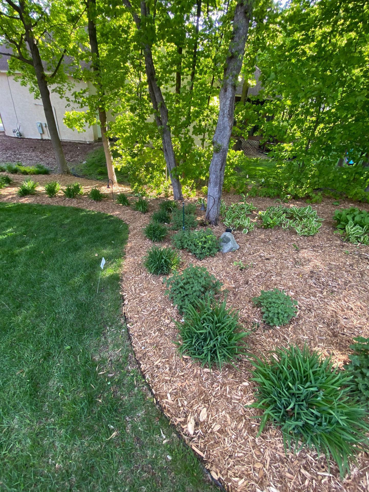 6420 Thornberry Curve