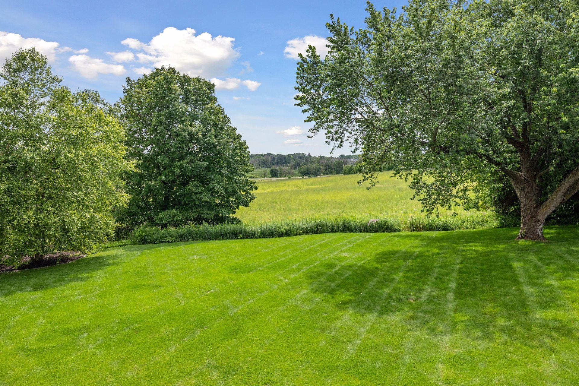 131 Primrose Lane