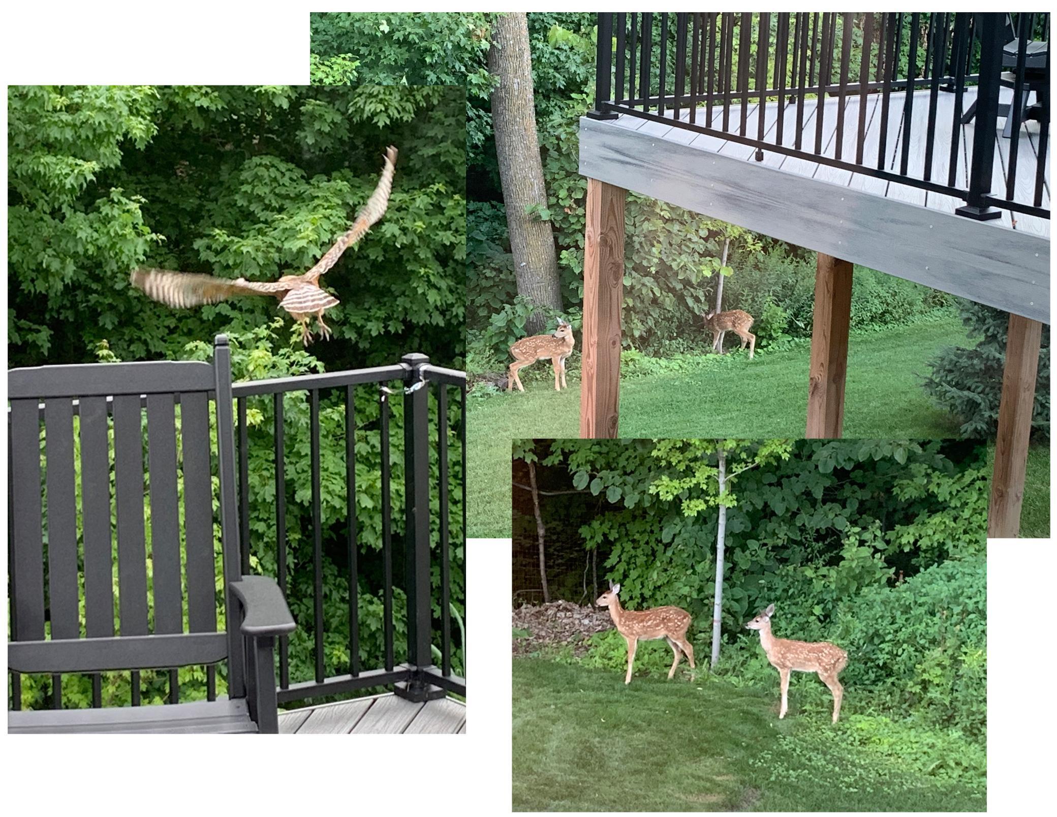 4947 Grandview Avenue