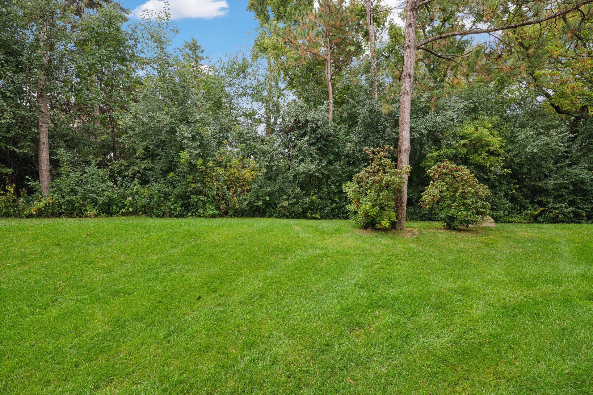 11911 Minnetonka Boulevard