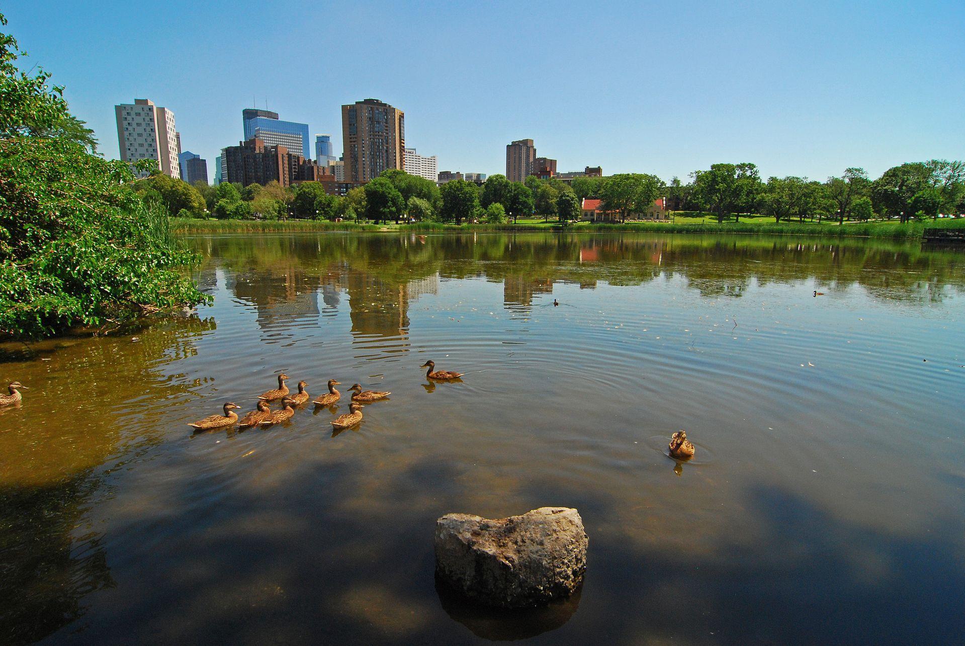 111 E Franklin Avenue Unit: 307