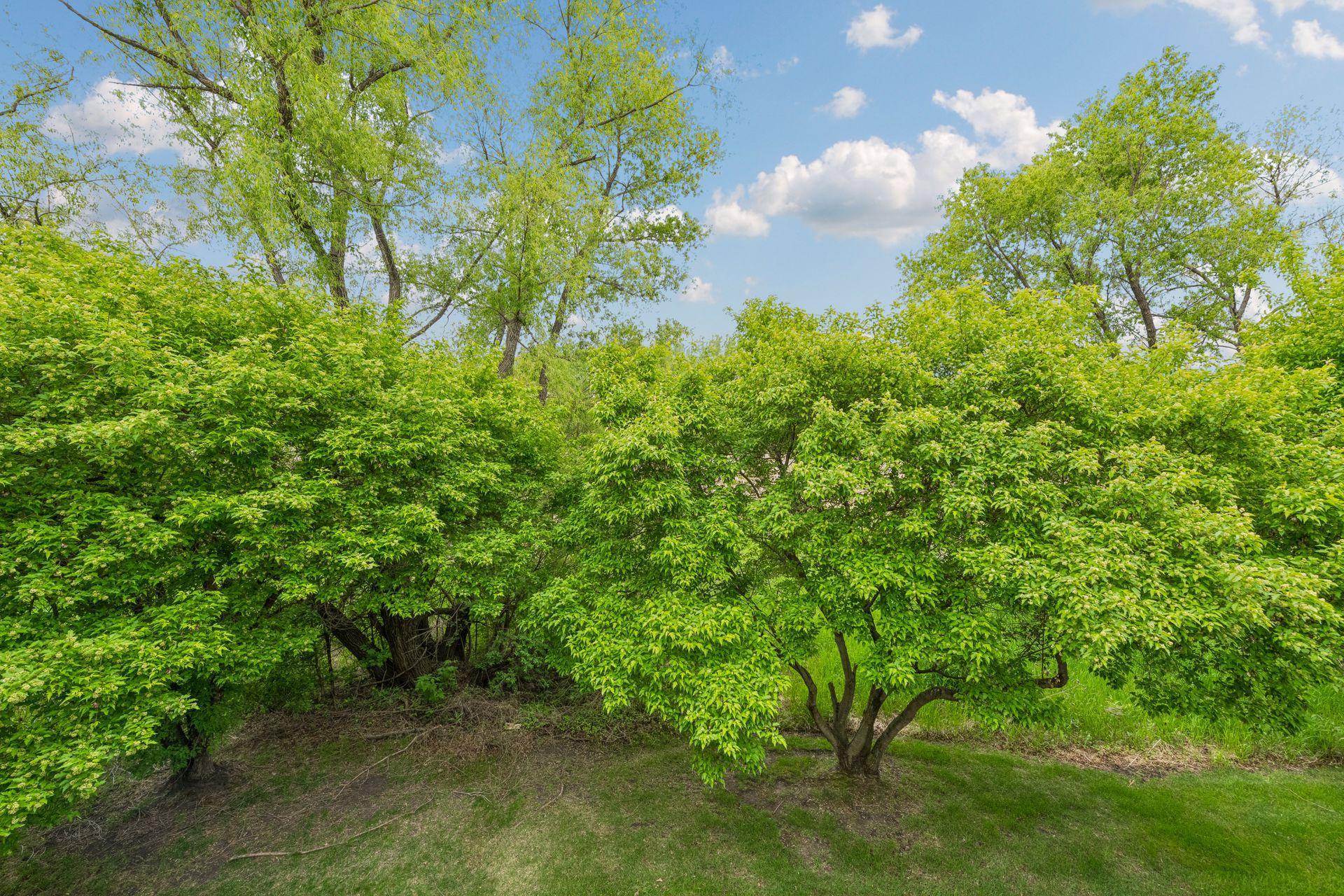 464 Meadow Lane