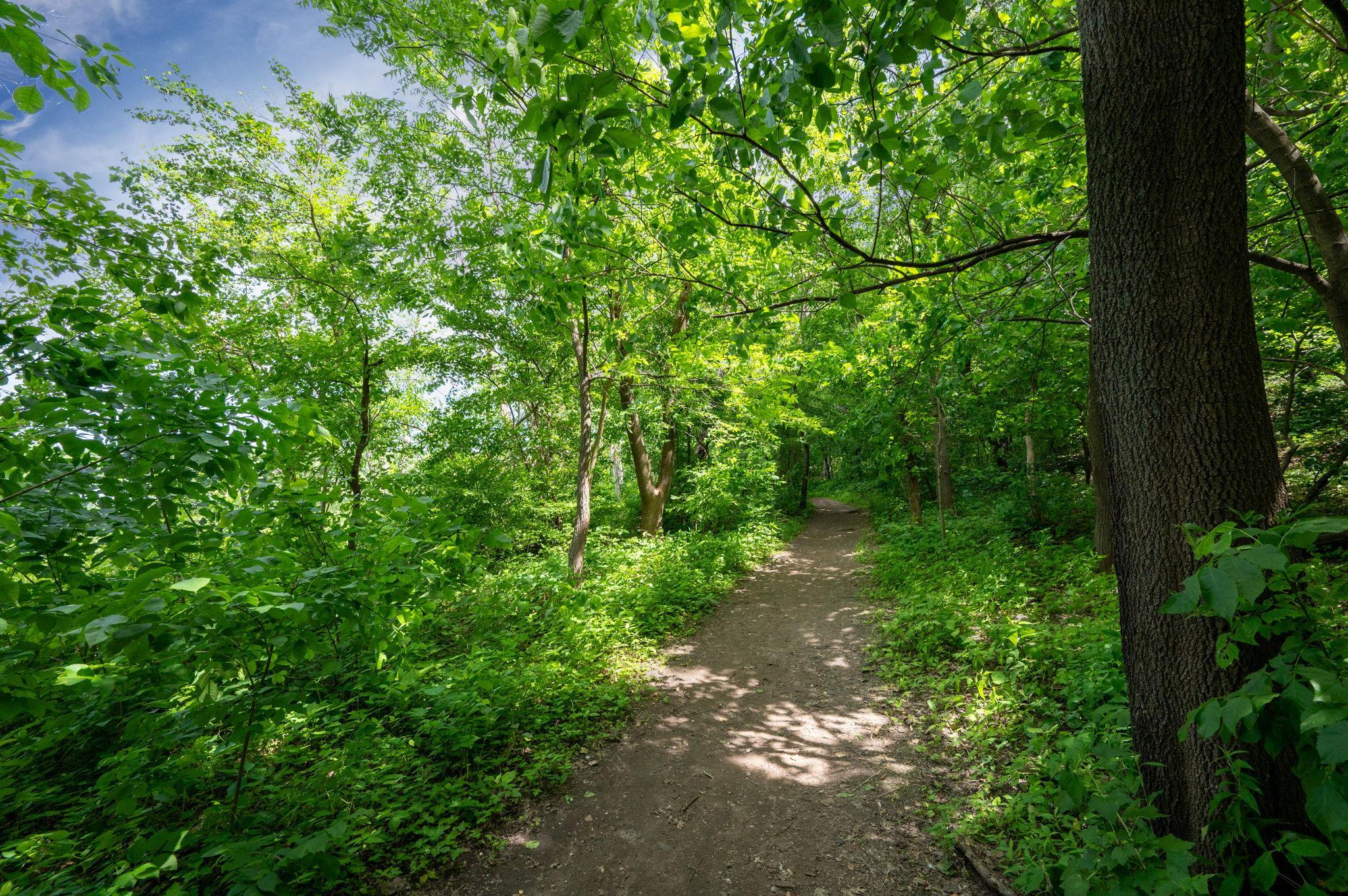 2015 Upton Avenue S