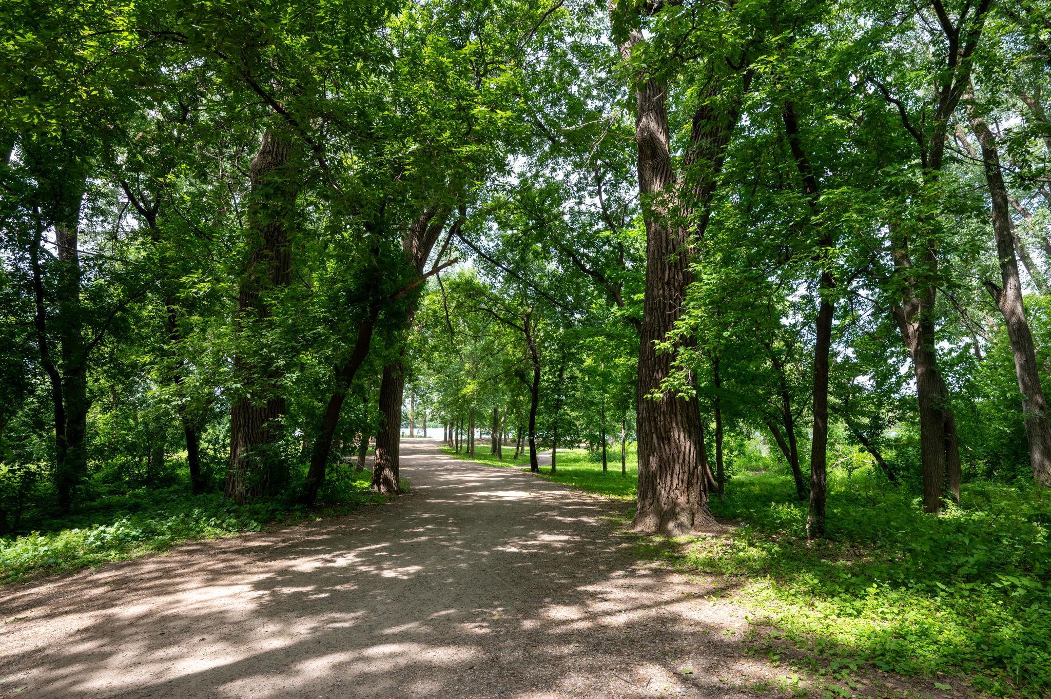 2015 Upton Avenue S