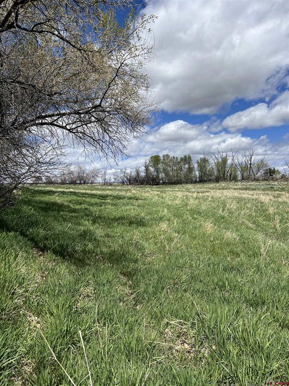 20750 Highway 491