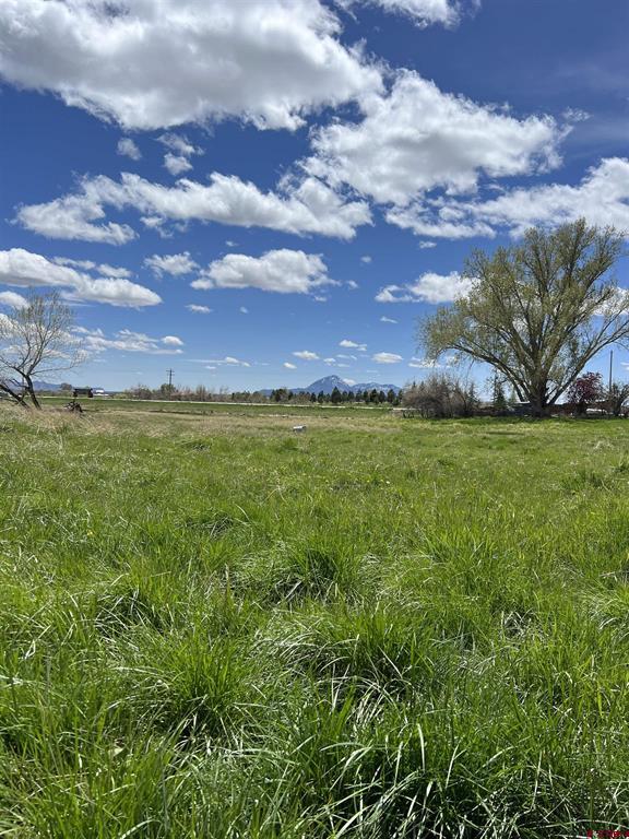20750 Highway 491