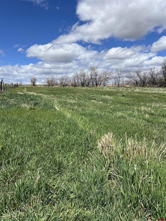 20750 Highway 491