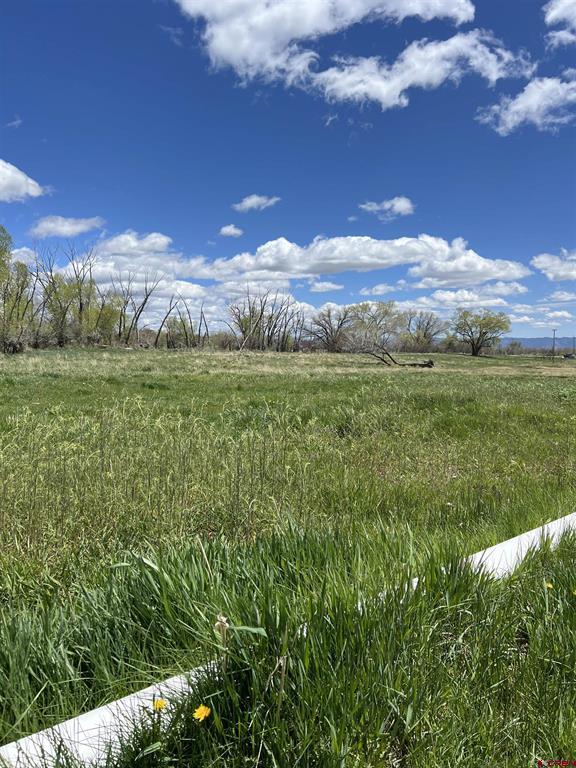 20750 Highway 491