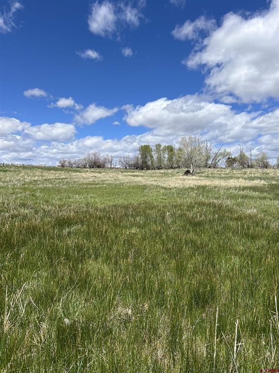 20750 Highway 491