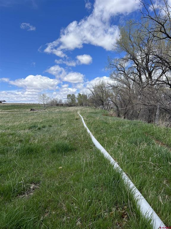 20750 Highway 491