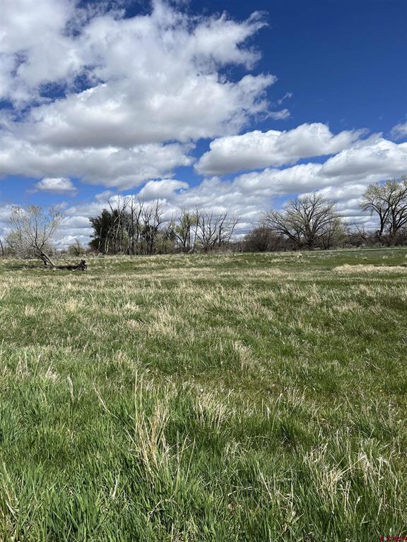 20750 Highway 491