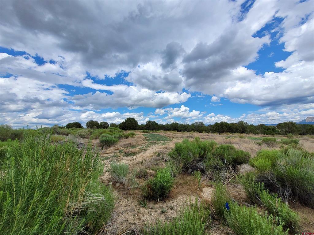Lot 39 Golf Course Lane