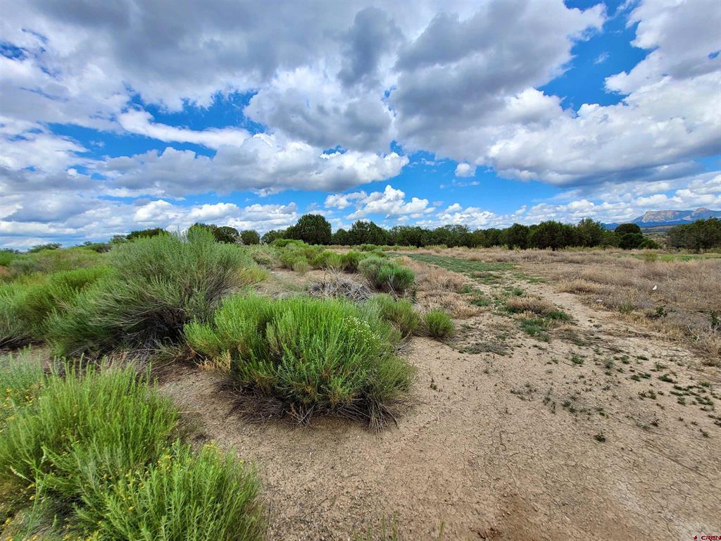 Lot 39 Golf Course Lane
