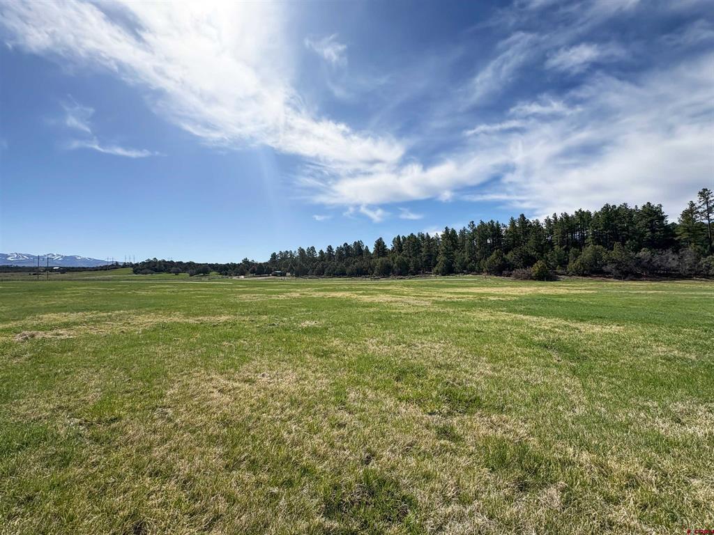 39266 Highway 184