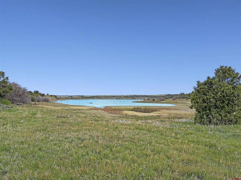 Lot 10 Road P.2 Loop