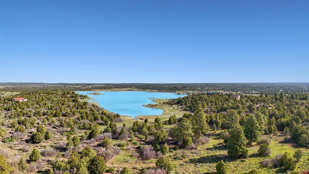Lot 10 Road P.2 Loop